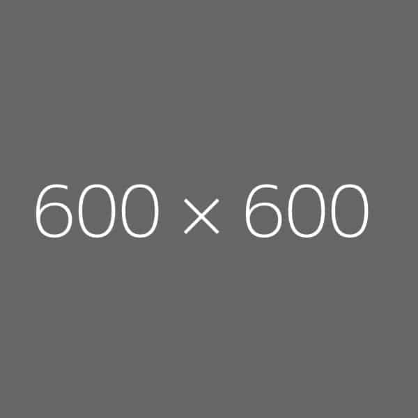 600 × 600